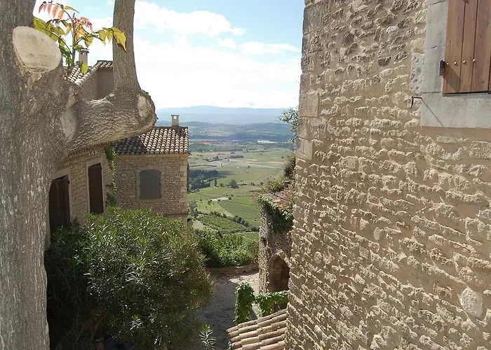 Cypres Du Paradis A Gordes