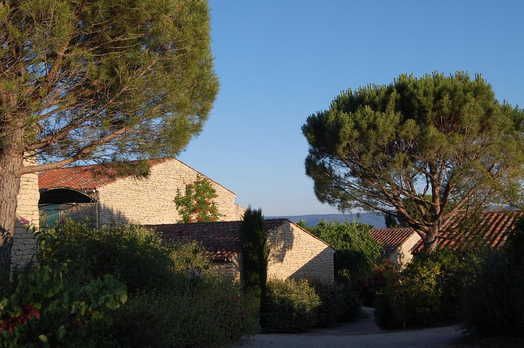Cypres Du Paradis A *