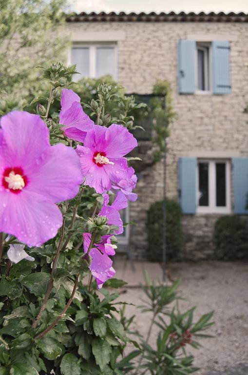 Ferienhaus Cypres Du Paradis A Gordes