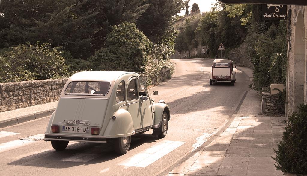Cypres Du Paradis A Gordes